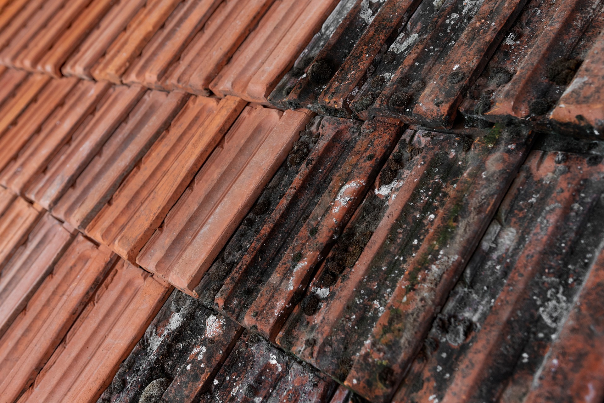 Washed and non-washed roof tiles. Tiles covered with lichen, mould and moss and cleaned tiles.